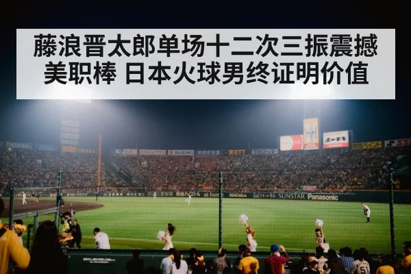 baseball stadium night game